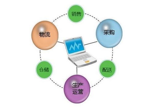 構(gòu)建柔性供應(yīng)鏈管理 核心內(nèi)涵、關(guān)鍵要素與配套服務(wù)體系